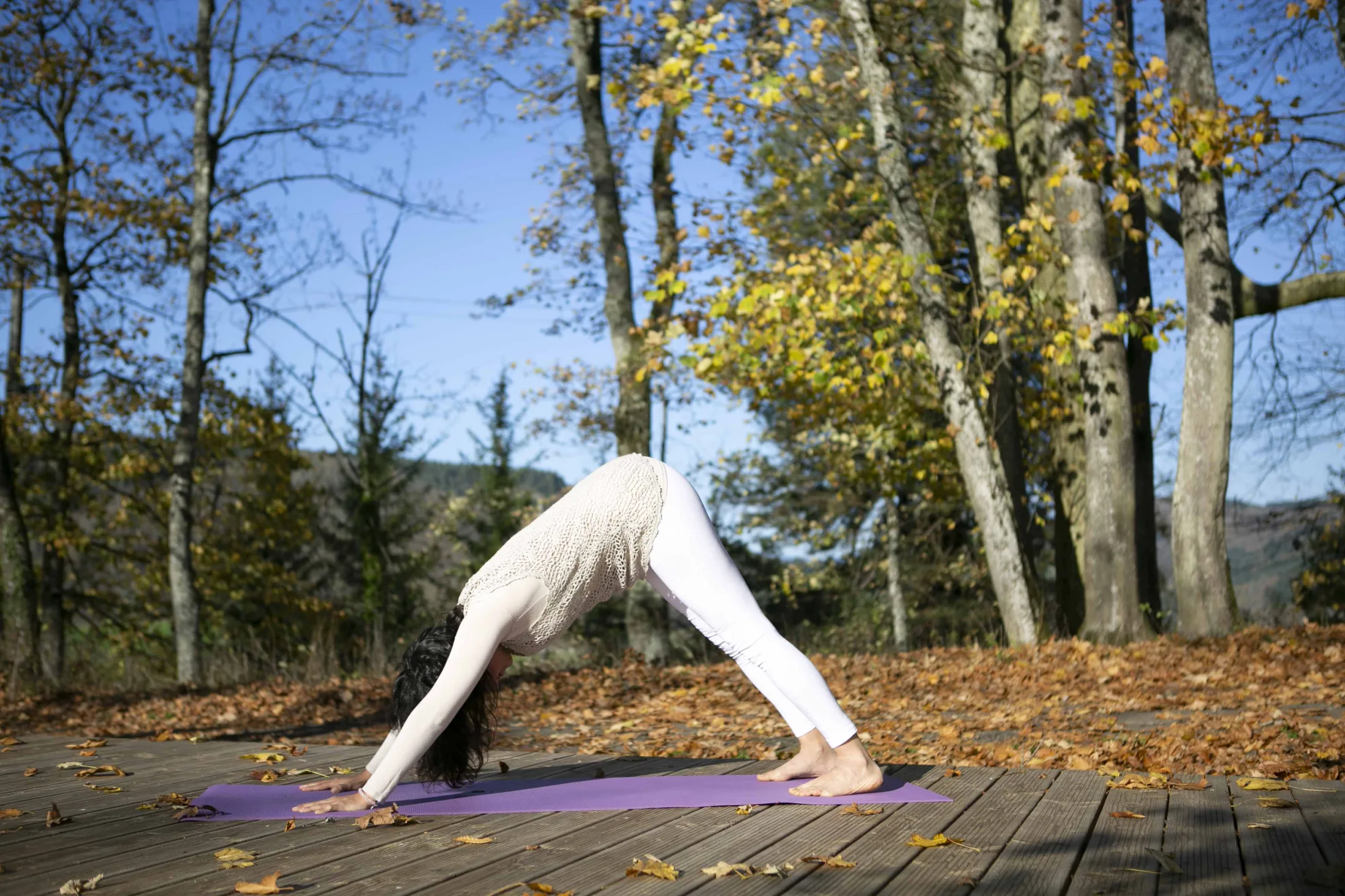 Yoga e Meditazione